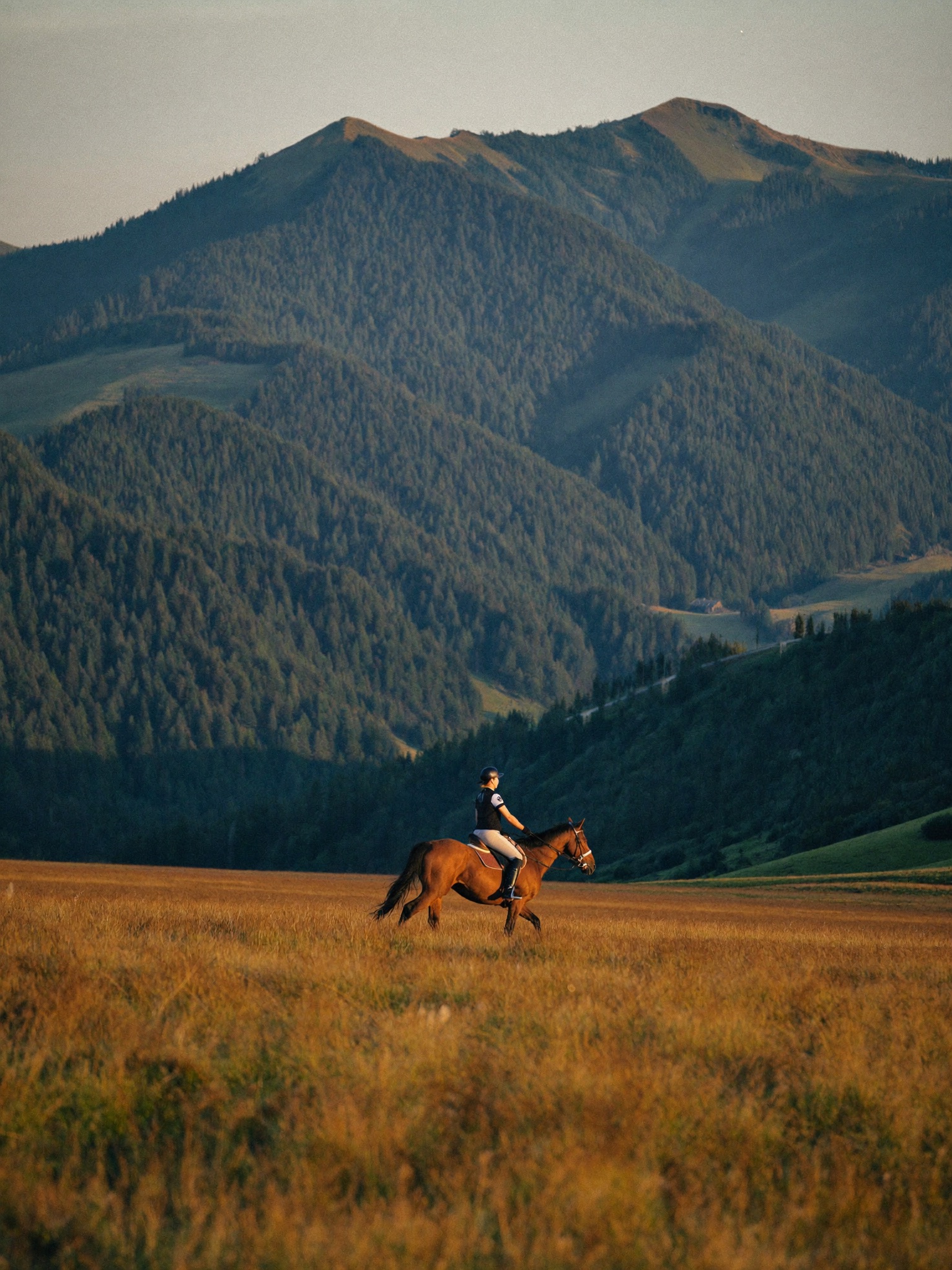 Horseback rider crossing a high meadow at golden hour